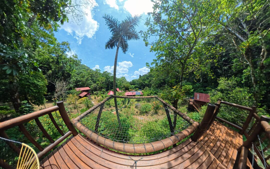 La Manigua Fotos 360